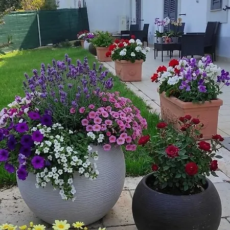 Apartment Verdemare